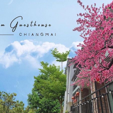 Bloom Guesthouse Chiang Mai Exterior foto