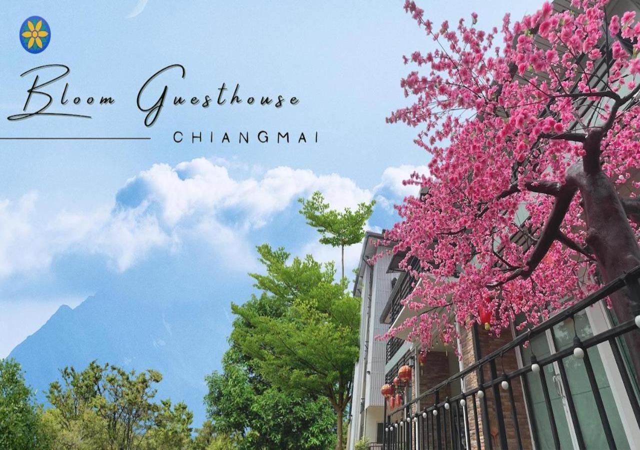 Bloom Guesthouse Chiang Mai Exterior foto